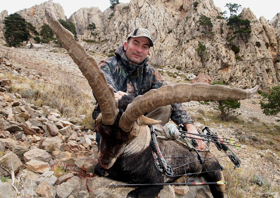 hunting with bow_beceite ibex6